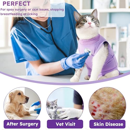 Hpetppy Cat Recovery Suit, Breathable Cat Surgery Recovery Suit Female, Cat Onesie for Cats After Surgery Spay Surgical Abdominal Wound Skin Diseases Cone of Shame Alternative Purple(M) - color: Purple, size: Medium
