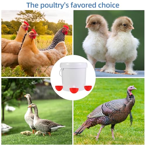 10Pack Large Chicken Waterer Cups, DIY Auto Poultry Water Feeder | Chicken Water Feeder Suitable for Chicks, Duck, Goose,Cat and Turkey , Easy Install with 3/8" Drill Bit