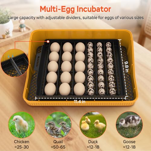 25 Eggs Incubator, Incubators for Hatching Eggs, with Temperature & Humidity Control, Automatic Egg Turning, Egg Candler, for Hatching Quail, Chicken, Duck, Goose Eggs