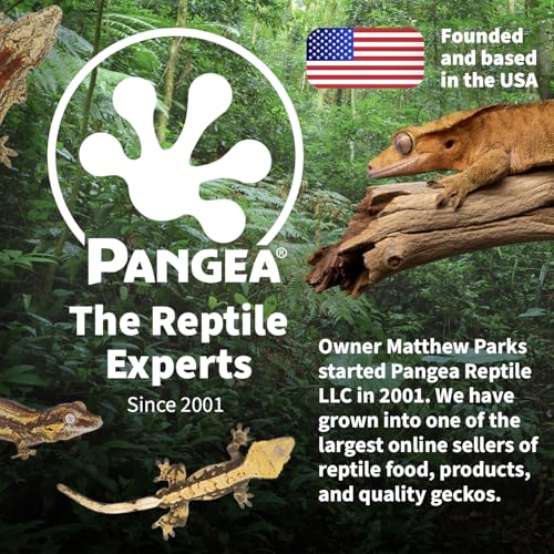 Pangea 75W Halogen Heat Lamp for Reptiles, Warming Infrared UVA Light | Designed for Ceramic Sockets - Reptile Enclosure Heat Lamp for Bearded Dragons, Leopard Geckos, Tortoises, Crested Geckos
