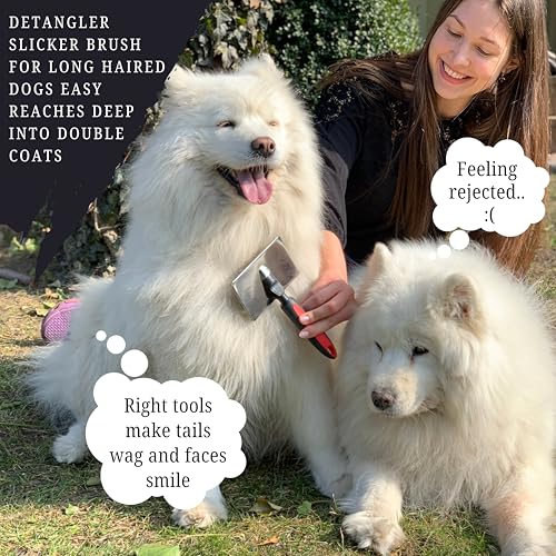 Dog Slicker Brush - Large - Protective Ball Tipped Pins Massages Pet Skin - Professional Groomer Dog Brush for Goldendoodle - Golden Retriever Brush (Large Size) - size: 8 Inch x 4.8