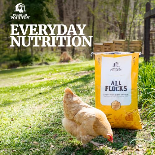 All Flock Poultry Feed Pellets, 18% Protein Chicken Feed Made in USA for Mixed Flock –Chicken, Ducks, Geese, Turkeys & Game Birds, Probiotics for Digestion, 80 lbs - size: 80lb (Pack of 1), style: All Flocks