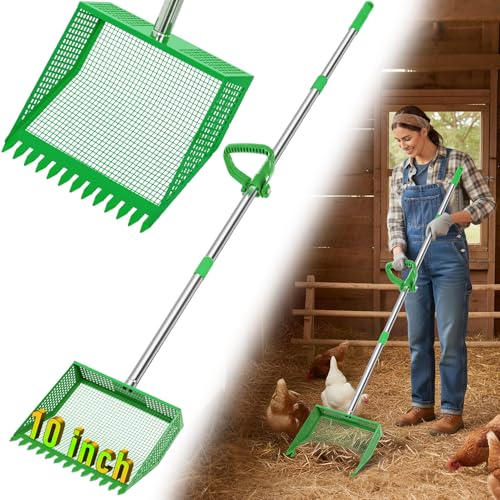 Large Chicken Poop Scooper: 2-in-1 Metal Pooper Scooper & Rake Adjustable 62" Long Handle Stainless Steel Sand Sifting Litter Shovel Chicken Coop Scoop Cleaning Tool for Goat Yard Bright Green - color: Bright Green