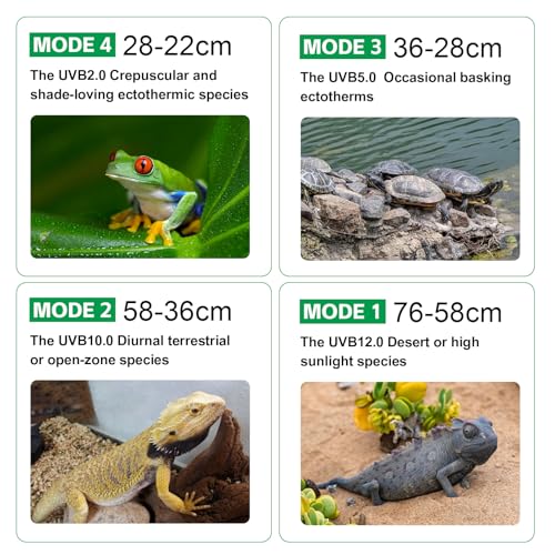 UVB Light for Reptiles with Dimming, LED UVB Light Bulb Fixture for Bearded Dragon Gecko Lizard Turtle Snake, Adjustable Brightness UVA UVB Lamp for Tropical & Desert Reptile Tank Accessories 8W Grey - size: 8W-Grey