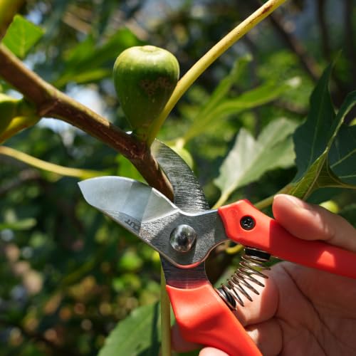 AGRICUT 7" Pruning Shears Heavy Duty Professional, Made of Japanese SK5 Steel Blades, 4/5 Cut Capacity, Bypass Hand Pruners Garden Clippers for Tree Flower Branch Trimming, S20E - style: PP Handle, High Carbon Steel
