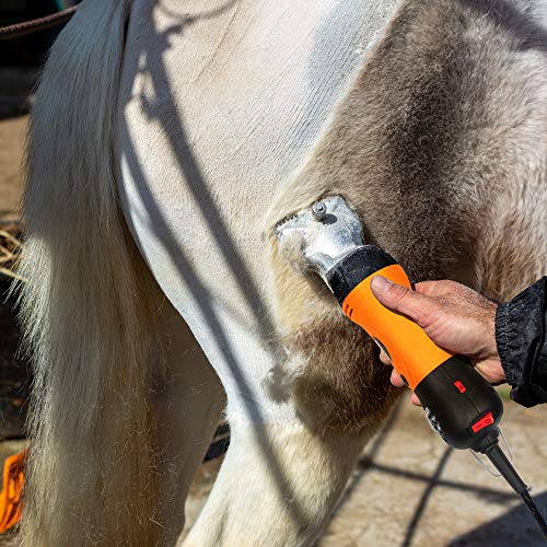 BEETRO 500W Electric Professional Horse Shears, 6 Speeds Animal Grooming Clippers for Horse Equine Goat Pony Cattle, with an Extra Set of Shearing Blades