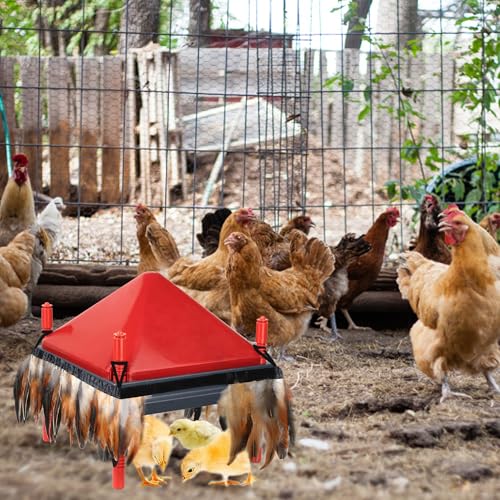 Feathers for Chick Brooder Heating Plate Comfort Feathers for Chick Warmer Chicken Coop Brooder Plate Warm Like Mother Hen (10" x 10", 4 Pack) - size: 10" x 10", 4 Pack