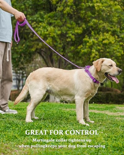 Waterproof Martingale Collar for Dogs,Easy to Clean Dog Collars with Safety Quick Release Buckle,Rubber Collar for Medium Large Dogs Walking Training (Purple, S (13.4-16.5inch)) - color: Purple, size: S (13.4-16.5inch)