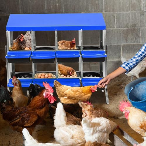 Chicken Nesting Boxes, 8 Hole Metal Chicken Laying Box with with Removable Trays and Roll Out Egg Collection for Chicken Coop, with Metal Bracket, Blue