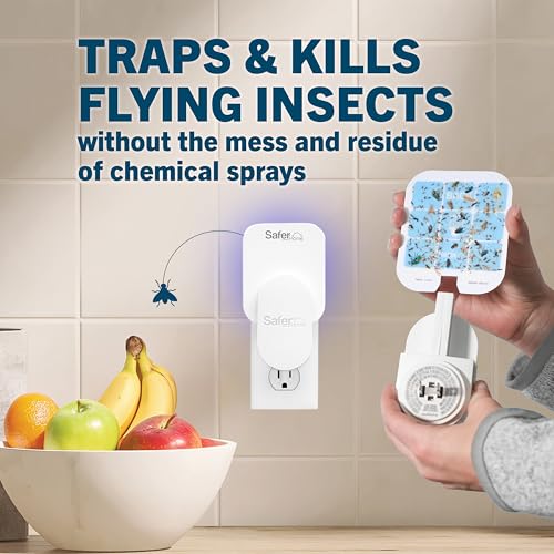 Safer Home Flying Insect Trap Official Refills | 6 Glue Card Refills for Plug-In Fruit Fly, Moth & Gnat Trap, Fruit Fly Killer, 24/7 Catch, SH506 - size: 6 Safer Home Glue Cards