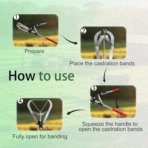 24 Count Extra Large Castration Bands, Bull Calves Sheep Goat Castrating Bands, Cattle Banding Tool for Farm Ranch Large Livestock