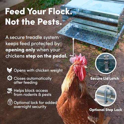 RentACoop Automatic Treadle Chicken Feeder - 40 lb Capacity - style: 40LB Treadle Feeder