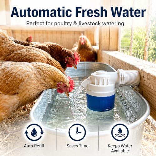 2 Inch NPT Threaded Side Inlet Automatic Water Float Valve | Automatic Water Level Control, Shut Off Valves, For Water Tank, Pool, Livestock Troughs - size: 2‘’