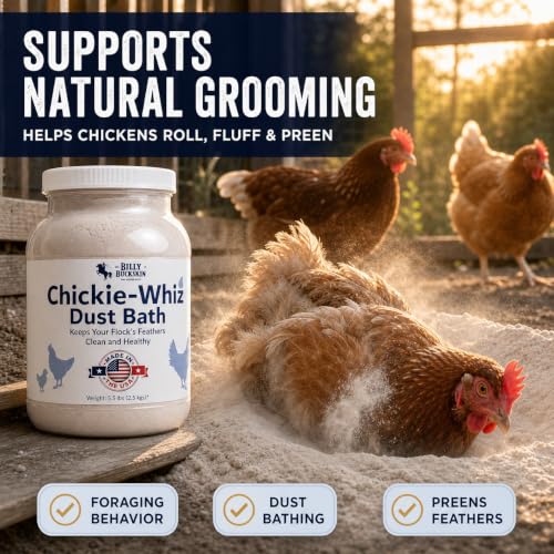 5.5lb Chickie-Whiz Chicken Dust Bath - Made in USA - All Natural Volcanic Ash Dust Bath for Chickens - Healthier Eggs & Feathers - Chicken Coop Accessories for Farms by Billy Buckskin Co. (Pack of 2) - size: 1 x 5.5 LB (Pack of 2)