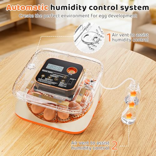 Incubators for Hatching Eggs Automatic Egg Incubator with Temperature Control Humidity Display 12 Egg Capacity for Chicken Duck Goose Eggs Digital Display Auto Turner 360° View (Orange Yellow) - color: Orange Yellow