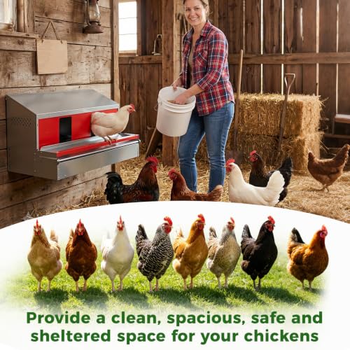 36" Redants Chicken Nesting Box, Metal Roll Away Nesting Boxes Chicken | Reversible Wall Mountable Chicken Laying Boxes, 36"×19.5"×20", Galvanized Steel, Waterproof, Up To 30+ Hens - size: 36.0"L x 19.0"W x 20.0"H