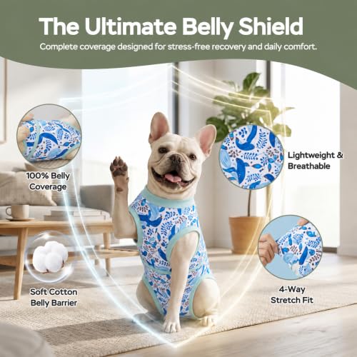 PetWarm Surgical Suit for Dogs After Neuter, Dog Surgery Suit, Cone of Shame Alternatives, Dog Surgical Recovery Onesies Female Male Dogs, Marine Animal Patterns, Blue, XS - color: White Blue, size: X-Small