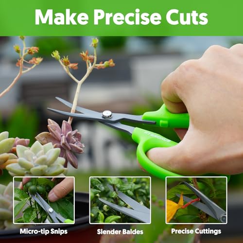 Garden Scissors, 2 PCS, Curved Blade, 6-in, Non-Stick Coated Steel, Sharp | Pruning Shear, Gardening Tools, Garden Snips for Plants, Herbs, Flowers in Grow Tent and Hydroponics, Easy to Clean - style: Curved Blade