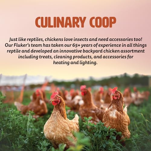 Fluker's Culinary Coop Ceramic Heat Emitter for Chicken Coop or Outdoor Animals, 150 Watt