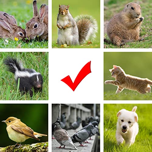 FenceMate AC Powered Electric Fence Charger Output 0.25J up to 5 Miles | Contain Small Pet, Poultry, Keep Rodent & Nuisance Animals Out, Used in Homestead, Garden, Pond, Fence Energizer up to 6 kV