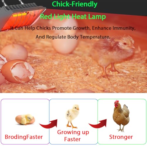 Heat Lamp for Chicken Coop, 250W Waterproof Chicken Coop Heater for Indoor & Outdoor Used, Infrared Heat Lamp with Adjustable Temp & Height, Ideal for Poultry, Livestock & Small Pets
