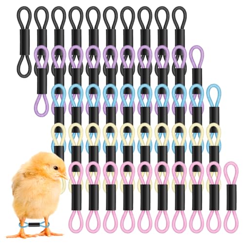 50Pcs Baby Chicken Leg Bands Splay Leg Hobble Brace, Adjustable | Poultry Leg Bands Quail Leg Bands for Newborn Spraddle Legs of Chick Bird Quails Ducks of 1 to 3 Days Newly Hatched