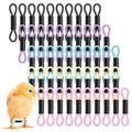 50Pcs Baby Chicken Leg Bands Splay Leg Hobble Brace, Adjustable | Poultry Leg Bands Quail Leg Bands for Newborn Spraddle Legs of Chick Bird Quails Ducks of 1 to 3 Days Newly Hatched