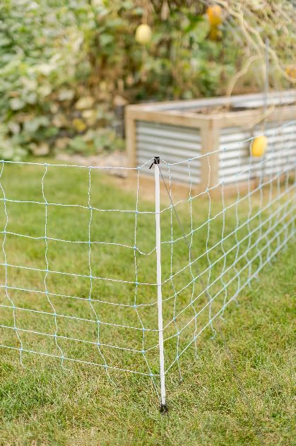 All-Purpose Electric Utility Netting (35" x 82') Electric Fence for Goats, Sheep, Gardens, Beehives, Dogs, and More for Backyards, Homesteads, Farms and Ranches - size: 35" x 82'