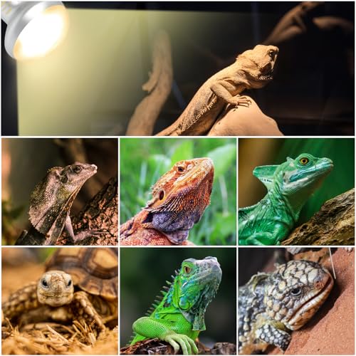 Desert UVB & Heat Dual Dome Lighting Kit, Dual Reptile Lamp Fixture with Intense Basking Spot Light UVA Daylight Reptile Heat Lamp & 26W Energy Saving UVA 10.0 UVB Bulb Spiral Compact Bulb - style: DRL01ST4