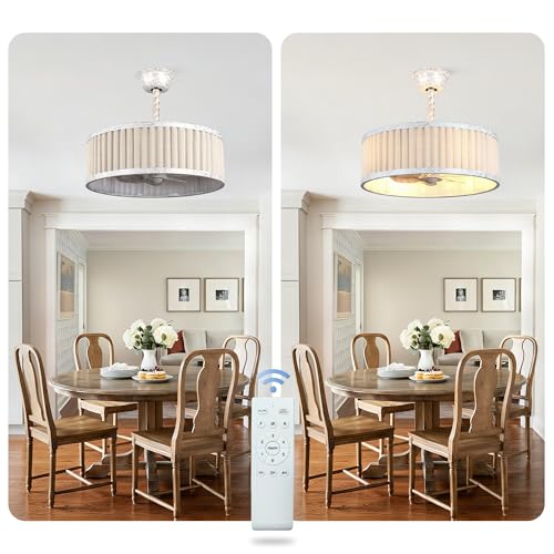 20'' White Boho Ceiling Fan with Lights Remote Caged Fandelier | Small Enclosed Fandalier, Modern Chandelier for Bedroom Nursery Living Room, Reversible 6 Speeds, E26 Bulbs (Not Included) - color: White Cage