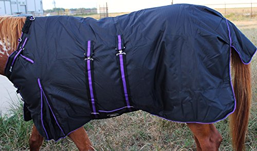 Challenger 1200D Turnout Waterproof Horse Heavy Winter Blanket w/Bellyband Purple 565B - color: Black/Purple Trim, size: 66 inches