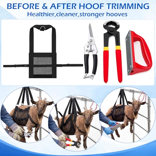7pcs 8" Farrier Tool Kit, Hoof Rasp Nipper Trimmer Livestock Sling | 8" Hoof Nipper, 300lb Capacity Adjustable Weighing Sling, Storage Bag Included, for Goat, Pig, Sheep, Donkey, Equine, Alpaca - style: Essential Hoof Care Kit