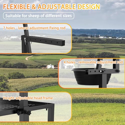 Upgrade Goat Milk Stand with Feed Bin, 600lbs Goat Stand for Grooming & Hoof Trimming, 1mm Thick Platform & Anti-Slip Design, Goat Grooming Stand with Firm Head Lock and Adjustable Head - size: L - 48"L x 19"H