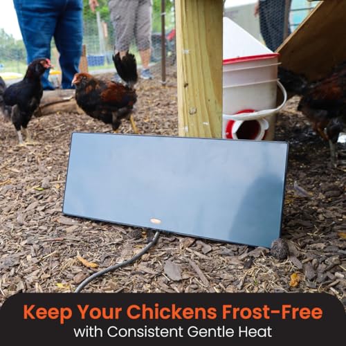 Cozy Products Cozy Coop Chicken Coop Heater, Flat-Panel, 150 Watts | Wall Mount or Free Standing, Electric 150 Watts Safer Than Heat Lamps Warms Inside Chicken Coops Flat Panel 2 Inches Deep