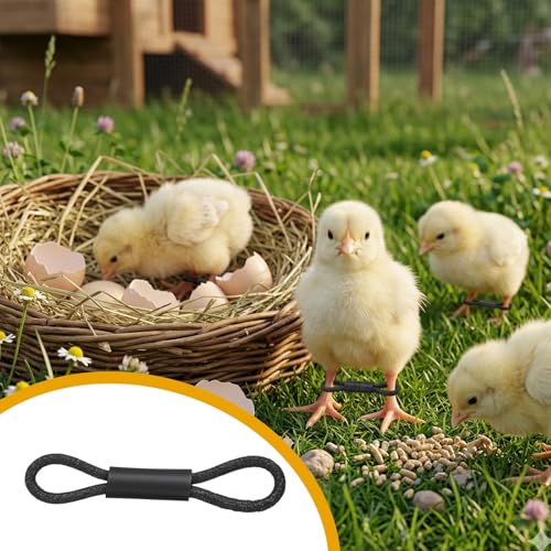 50 Pieces Chick Leg Bands Baby Chicken Splay Hobble Brace Adjustable Poultry Leg Bands for Newborn Chicken Birds Quails Ducks of 1 to 3 Days Newly Hatched