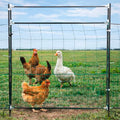 Leinuosen Electric Poultry Netting Gate, 50" H x 37" L Chicken Fence Gate | Portable Electric Poultry Nets Fence Kit for Chickens, Ducks, Turkeys, Sheep, Geese in Yard, Farms, Backyards, Garden - size: 50" X 37"