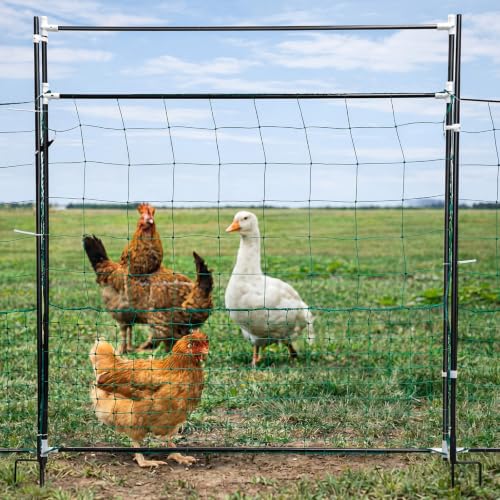 Leinuosen Electric Poultry Netting Gate, 50" H x 37" L Chicken Fence Gate | Portable Electric Poultry Nets Fence Kit for Chickens, Ducks, Turkeys, Sheep, Geese in Yard, Farms, Backyards, Garden - size: 50" X 37"