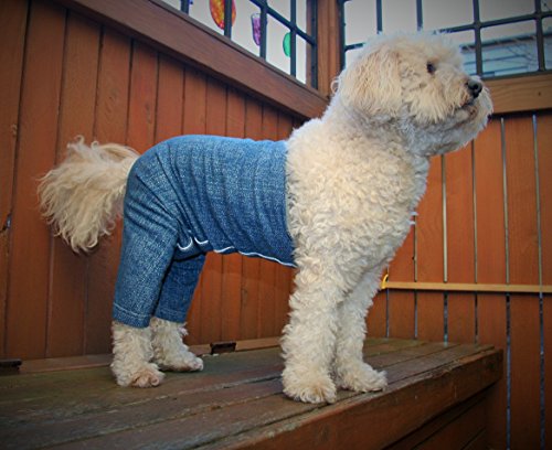 Original Dog Pants, E-Collar Alternative, Dog Diaper, Dog Pajamas, Medium Dog, Blue - color: Blue, size: Medium