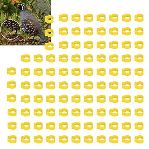 Omabeta 100PCS Reusable 8mm Pigeons Identification Leg Rings for Easy Dovecot Management and Marking, Lightweight Plastic Bands for Poultry Supplies (Yellow) - color: Yellow