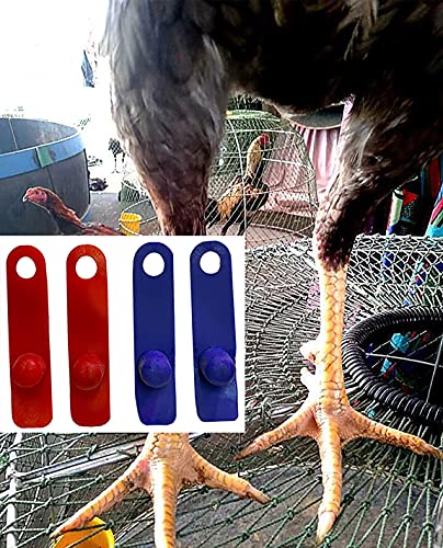 A.D.P. R1 Rooster Booster Protection Chicken Mitt Safety Poultry Bird Botas para GALLOS BREEDING Supplies 2 Pairs Color Blue & Red, Leg Protect & Care, Best Rubber - color: Red & Blue R1