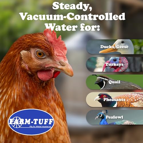 FARM-TUFF Galvanized Poultry Waterer, 5 Gallon Capacity - Double-Wall Poultry Fountain with Cone Top - Automatic Gravity-Fed Water Dispenser for Chickens, Ducks & Game Birds - size: 5 Gallon Capacity