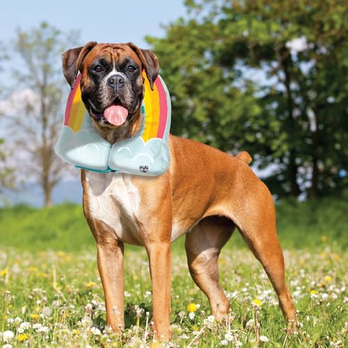 Rainbow Inflatable Dog Recovery Collar, Comfortable Cone Replacement for Pet Surgery, Protective Collars to Prevent Licking & Biting, Size Large - size: Large