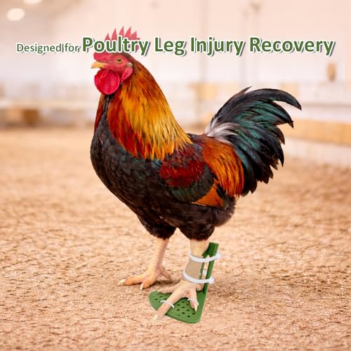 6 Sizes Chicken Leg Splint Set, Poultry Leg Brace for Chickens, Ducks & Geese, Bumblefoot, Curled Toes & Broken Legs Support Injury Recovery