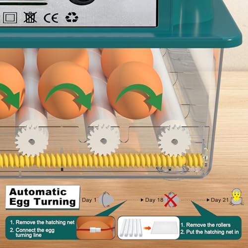 CoInceptus 16 Eggs Incubators for Hatching Eggs, Egg Incubator with Automatic Egg Turning and Temperature Control, Chicken Egg Incubators with Egg Candler for Duck Goose Pigeon Quail - size: 16 Egg