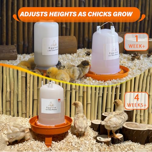 Eggluuz Chick Feeder and Waterer Kit Automatic Chicken Feeder and Waterer Set, 1L Chick Feeder and 1.5L Chick Waterer with 3 Heights Adjustable Legs