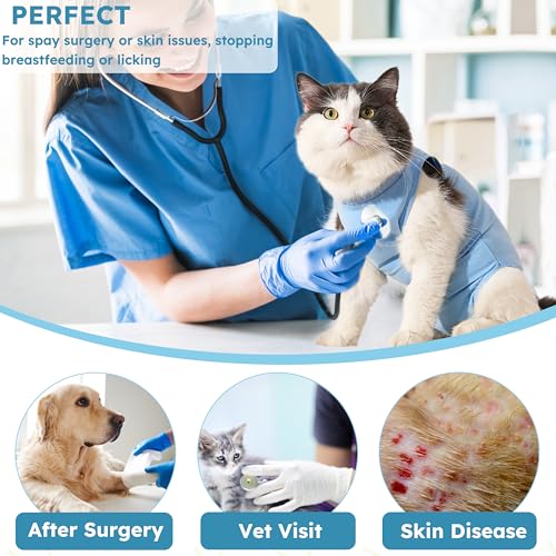 Hpetppy Recovery Suit for Cats After Surgery Soft Breathable Pet Bodysuit E-Collar & Cone Alternative Surgical Suit Kitten Wear Anti Licking Wounds Cat Onesie Cats Neuter Shirt Blue S - color: Blue, size: Small
