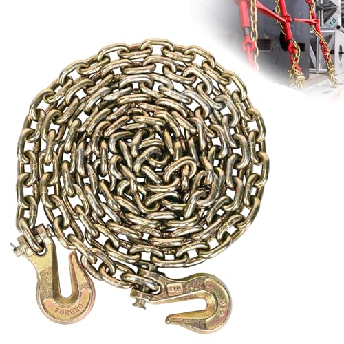 AAIN 4900LBS Transport Binder Chain 5/16"x20' G80 Tow Chain with Grab Hooks | 4,900 lbs Safe Working Load | G70 Grab Hooks | Heavy Duty Logging Chain for Transporting,Towing,Logging Tie Down Binding - size: 5/16 Inch - 20 FT, style: 1 Pack