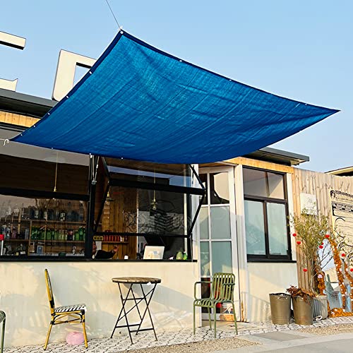 90% Plant Shade Cloth 2 Ft × 3.3 Ft Greenhouse Shade Cloth for Protect Vegetable Plants Fruits Flowers Crops - Blue - color: Blue, size: 2 FT x 3.3 FT