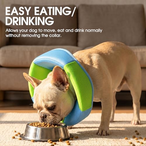 Dog Cone - Soft Cone for Dogs to Stop Licking, Pet E-Collar Alternative After Surgery, Adjustable Pet Recovery Collar for Wound Healing, Light Blue Medium - color: Light Blue, size: Medium