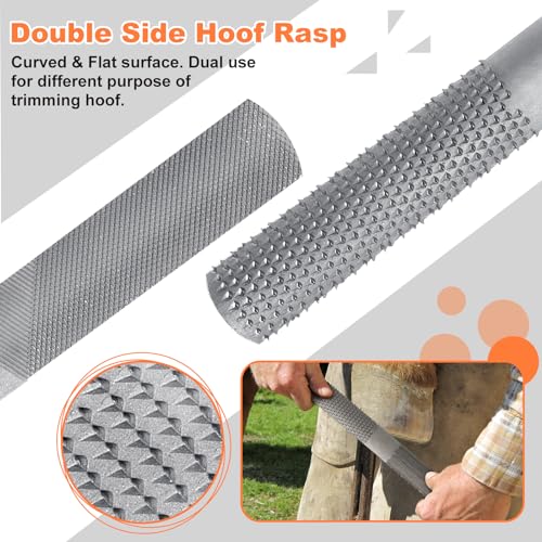 8 inch Farrier Tools Kit (8 Piece) Horse Goat Hoof Trimmers Carbon Steel Nippers Shears Nail Clipper, Mini Rasp, Hoof Trimming Cutter Knife, File for Pig Sheep Donkey Equine Supplies With Storage Bag
